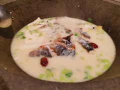 -鲜潭蒸汽石锅鱼(五道口购物中心店)