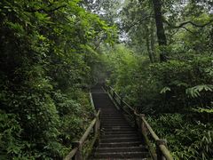 -峨眉山风景名胜区