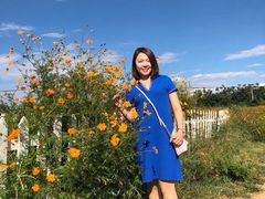 -北京东方普罗旺斯薰衣草庄园