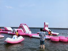 -碧海金沙