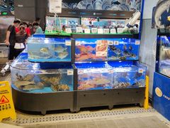水产区-盒马鲜生(皇庭广场店)