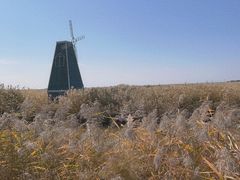 -东方华地城湿地温泉度假区