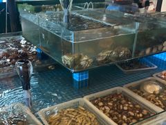 -和源祥·日照菜扛把子(万平口一店)