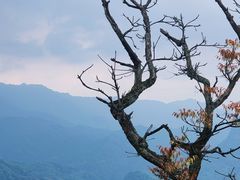 -青城山