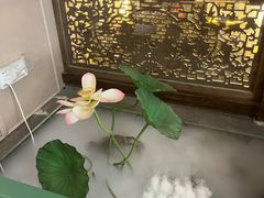 -大张烙馍村(泉山店)