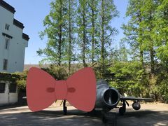 -枫泾古镇-人民公社旧址