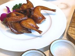 红烧乳鸽-沙龙酒家
