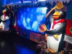 -帝企鹅自助餐厅•儿童岛•真企鹅(长隆企鹅酒店)