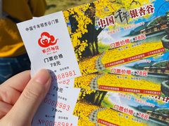 -千年银杏谷文化旅游区