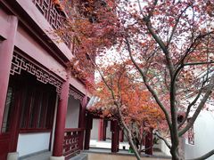 -堤角公园