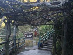 -磐安十八涡景区