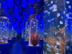 -欢乐海岸海洋奇梦馆