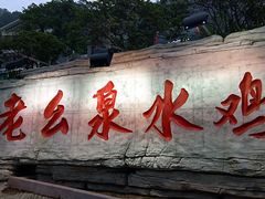 -老幺泉水鸡