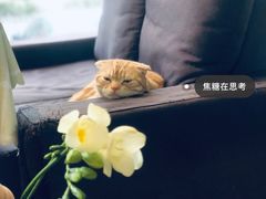 -花与咖啡馆(金星楼店)