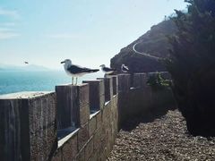 -海驴岛(荣成市)