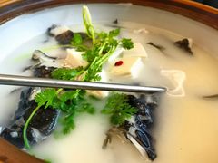 -宝荣鱼馆·临湖之宴(千岛湖店)