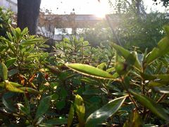 -江苏省苏州实验中学