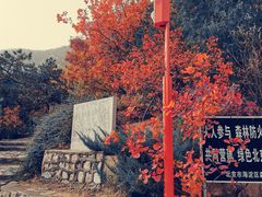 -北京鹫峰国家森林公园