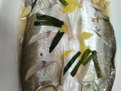 -观桥阁(锦溪店)