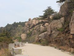 -鲁山国家森林公园