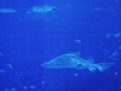 -南昌融创海世界