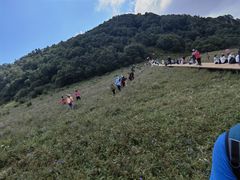 -白草畔自然风景区