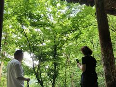 -武当山风景区