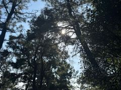 -敬亭山风景名胜区