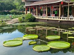 -广州莲花山旅游区