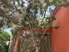 -古大圣慈寺