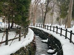 -北海道神宫