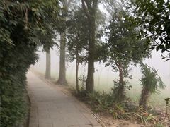 -窦圌山风景区