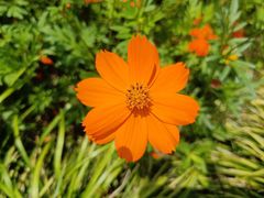 -上海吴淞炮台湾国家湿地公园