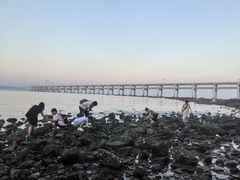 -黑石礁公园
