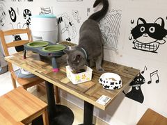 -小时光咖啡馆(开森度假森林店)