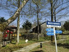 -四明山国家森林公园
