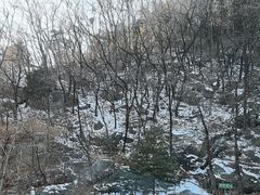 -泰山风景名胜区