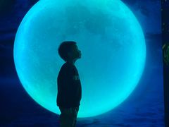 -天津梵高星空艺术馆(天河城旗舰店)