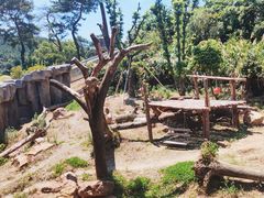 -宁波野生动物园