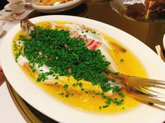 -玫瑰厅上海菜(兴国路店)