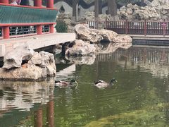 -宣武艺园