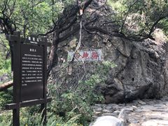 -阳台山自然风景区