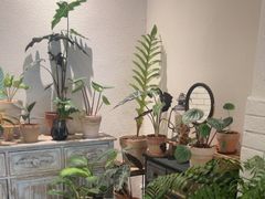 -坦克·甜品店(莲花广场店)
