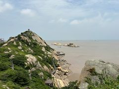 -洋山深水港