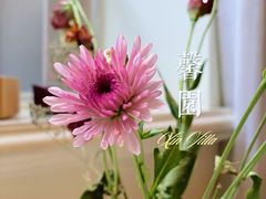 -馨园villa融合菜(东山店)