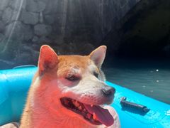 -安吉龙王山峡谷漂流