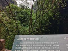 -马岭河峡谷风景区