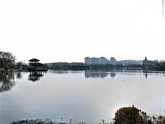 -桃花岛公园