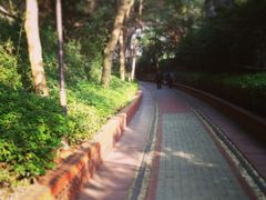 iphone_upload_pic-铁路文化公园