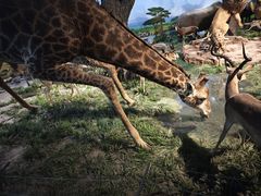 -国家自然博物馆